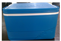 Reagents/ specimen cold delivery